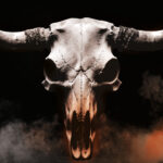 Bullhead Mc-Series - Rockerromance